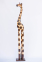 Статуэтка жирафа резная (20, 30, 40, 60, 80, 100, 120, 150, 180, 200 см)